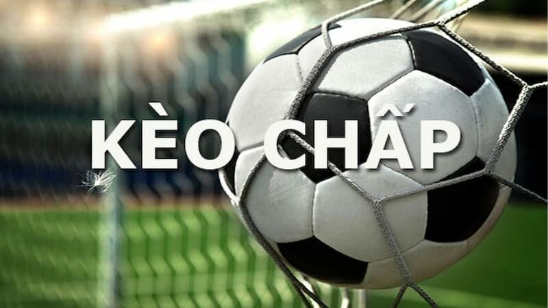 Kèo Chấp Nửa Trái - "Điểm Tựa" Vàng Để Xoay Chuyển Cục Diện