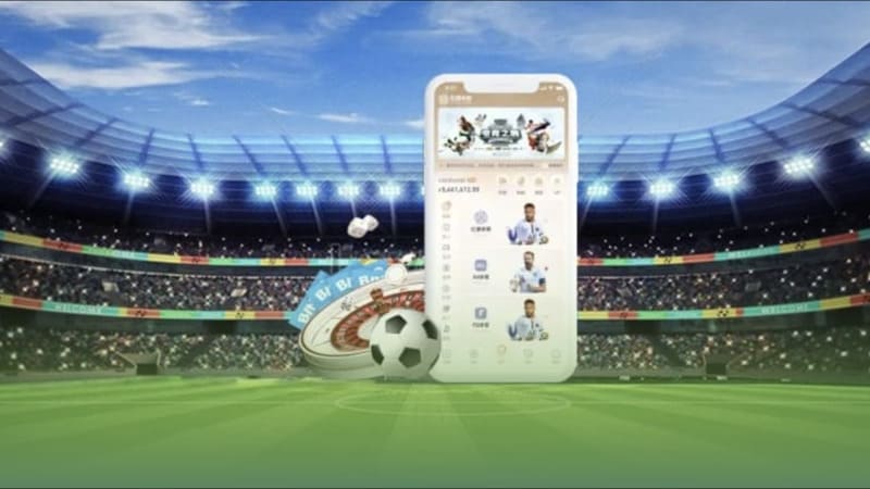 Phân tích các yếu tố then chốt trước khi đặt cược